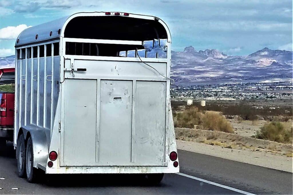 hestetrailer